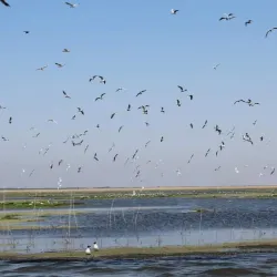 Nature Reserve near Calilabad - Calilabad