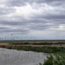 Nature Reserve near Calilabad - Calilabad