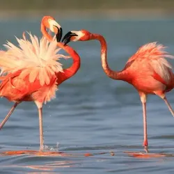 Nature Reserve near Calilabad - Calilabad