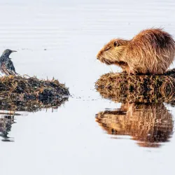 Nature Reserve near Calilabad - Calilabad