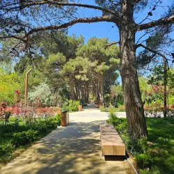 Fatmayi Botanical Garden - Fatmayi