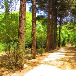 Fatmayi Botanical Garden - Fatmayi