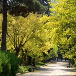 Fatmayi Botanical Garden - Fatmayi