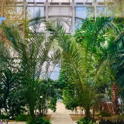 Fatmayi Botanical Garden - Fatmayi