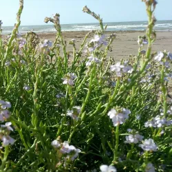 Fatmayi Nature Reserve - Fatmayi