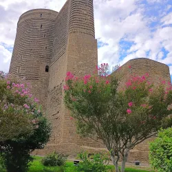 Goytepe Art Gallery - Goytepe