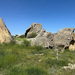 Goytepe Museum - Goytepe