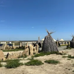 Goytepe Museum - Goytepe