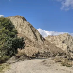 Goytepe Nature Reserve - Goytepe