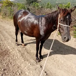 Goytepe Park - Goytepe