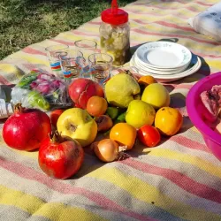 Imishli Agricultural Fields - Imishli