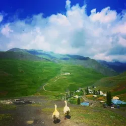 Local Village Tours - Imishli