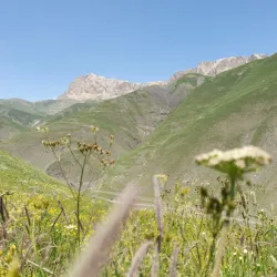 Local Village Tours - Imishli