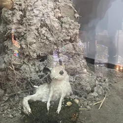 Khachmaz Museum of Local History - Khachmaz (Xacmaz)