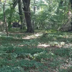 Nabran Beach - Khachmaz (Xacmaz)