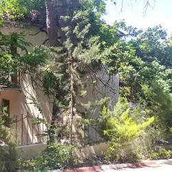 Nabran Beach - Khachmaz (Xacmaz)