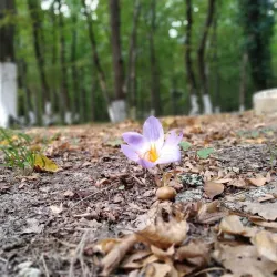 Nabran Beach - Khachmaz (Xacmaz)