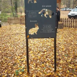 Samur-Yalama National Park - Khachmaz (Xacmaz)