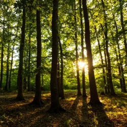 Samur-Yalama National Park - Khachmaz (Xacmaz)