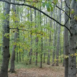 Samur-Yalama National Park - Khachmaz (Xacmaz)