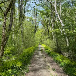 Samur-Yalama National Park - Khachmaz (Xacmaz)