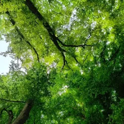 Samur-Yalama National Park - Khachmaz (Xacmaz)