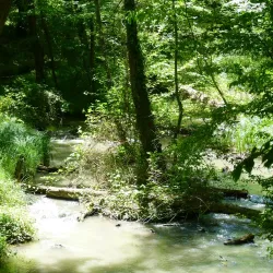Samur-Yalama National Park - Khachmaz (Xacmaz)