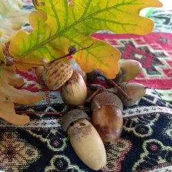 Yalama Fortress - Khachmaz (Xacmaz)