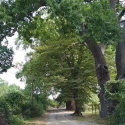 Yalama Fortress - Khachmaz (Xacmaz)