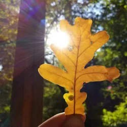 Yalama Fortress - Khachmaz (Xacmaz)