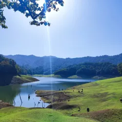Hirkan National Park - Lankaran