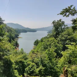 Hirkan National Park - Lankaran