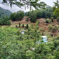 Hirkan National Park - Lankaran