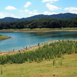 Hirkan National Park - Lankaran