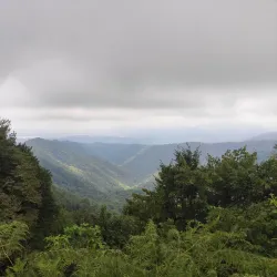 Hirkan National Park - Lankaran