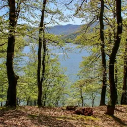 Hirkan National Park - Lankaran