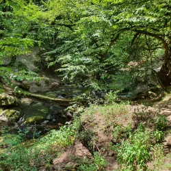 Hirkan National Park - Lankaran