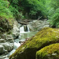 Hirkan National Park - Lankaran