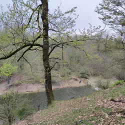 Hirkan National Park - Lankaran