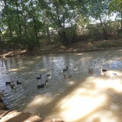 Lankaran Boulevard - Lankaran