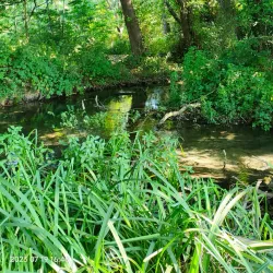 Narina Waterfall - Lankaran