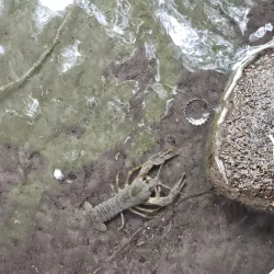 Narina Waterfall - Lankaran