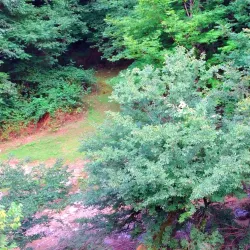 Lerik Village - Lerik