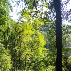 Lerik Waterfalls - Lerik