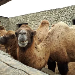 Talysh Ethnographic Museum - Lerik