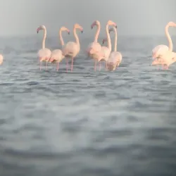 Absheron National Park - Lokbatan
