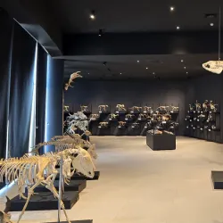 Mud Volcano Museum - Lokbatan