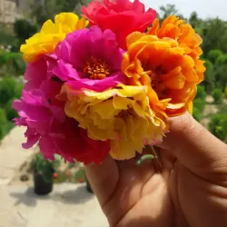 Mashtaga Historical Cemetery - Mashtaga