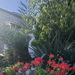 Mashtaga Historical Cemetery - Mashtaga