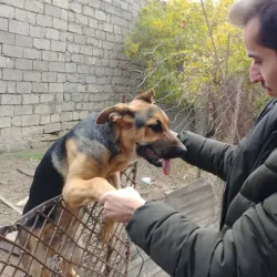 Mashtaga Nature Trails - Mashtaga